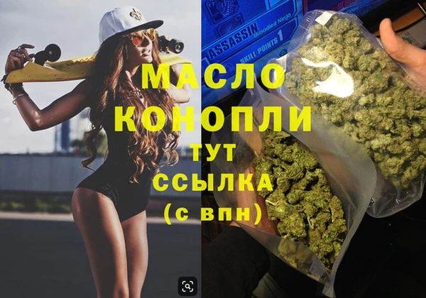 Альфа ПВП Няндома