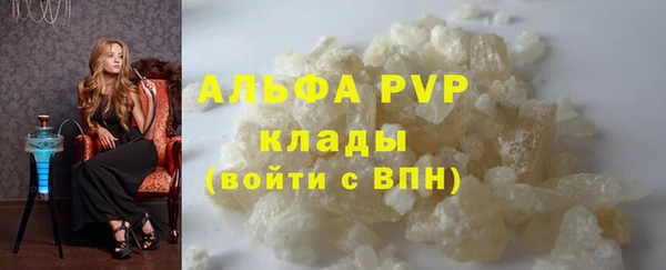 Альфа ПВП Няндома