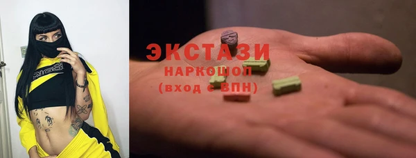 индика Новодвинск