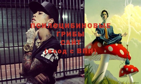 хмурый Нязепетровск