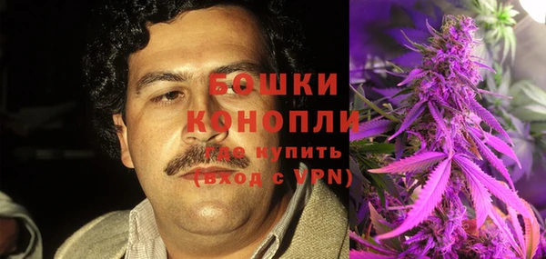 Альфа ПВП Няндома