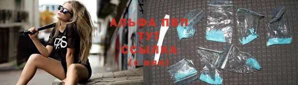 Альфа ПВП Няндома