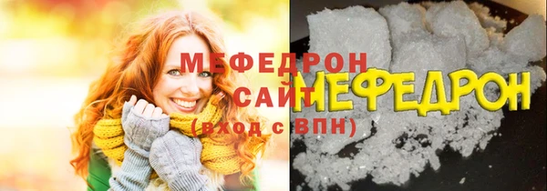 Альфа ПВП Няндома