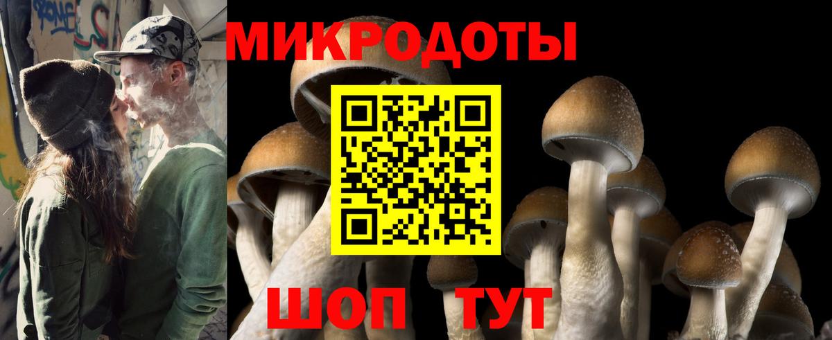 Псилоцибиновые грибы Cubensis  Галлюциногенные грибы Psilocybine cubensis  Радужный  Вход с VPN 